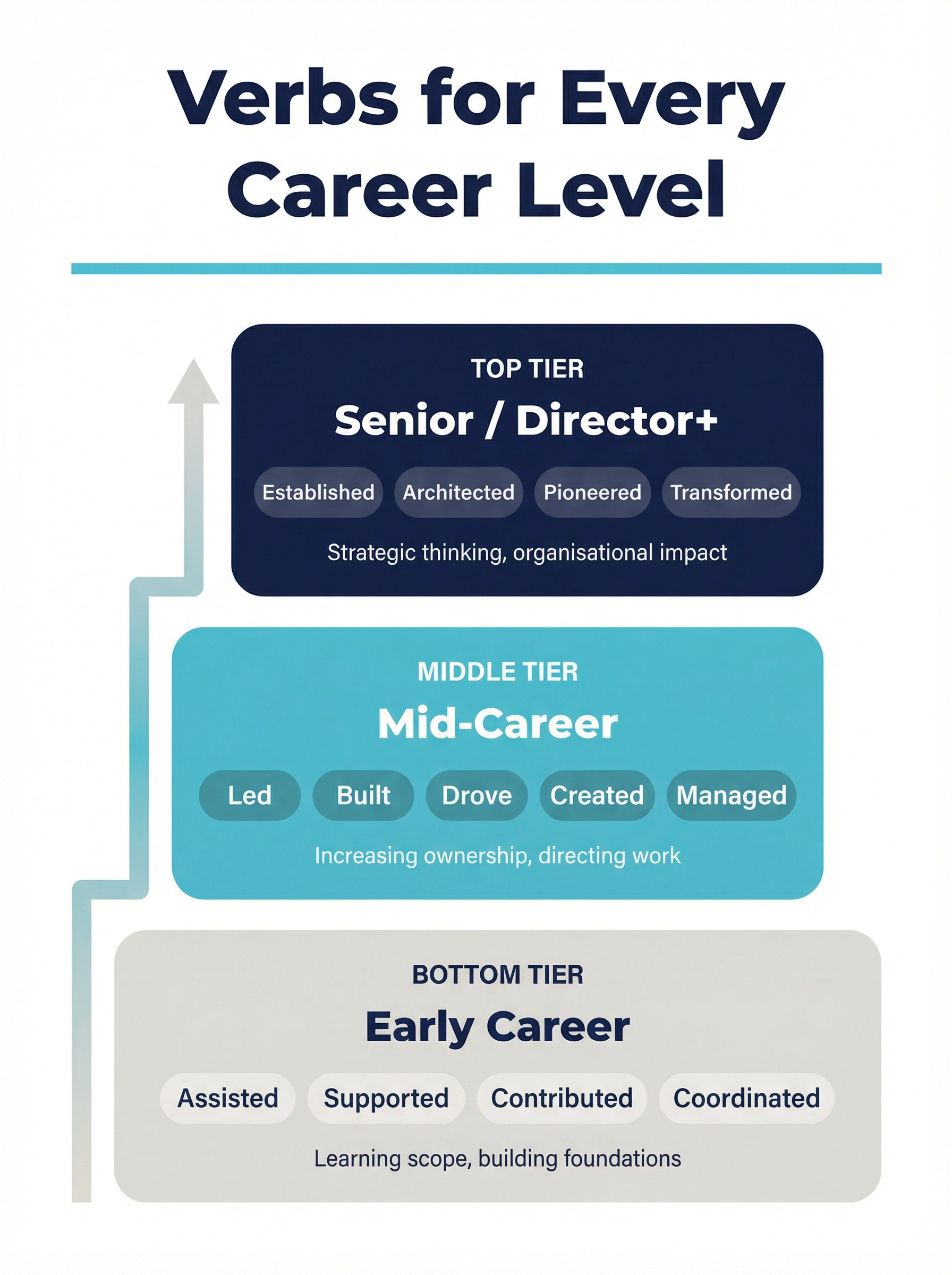 Three-tier infographic showing recommended resume action verbs by career level: Early Career verbs include Assisted, Supported, Contributed, and Coordinated for building foundations, Mid-Career verbs include Led, Built, Drove, Created, and Managed for increasing ownership, and Senior or Director level verbs include Established, Architected, Pioneered, and Transformed for strategic thinking and organisational impact